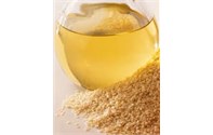 Sesame Oil Extraction Machine