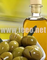 خط إنتاج زيت الزيتون