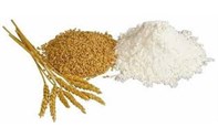مطحنة دقيق صغيرة