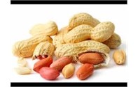 آلة تقشير الفول السوداني والبندق
